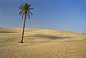 Sahara Desert,Tunisia