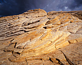Sandstone,Snow Canyon SP,Utah