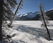 Winter Stream,Jasper National Park