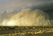 Dust Storm,Yuma,Arizona