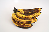 Banana Ripening Sequence