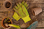 Gardening Still Life