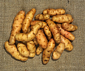Hessian Potatoes