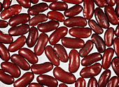 Red kidney bean seeds