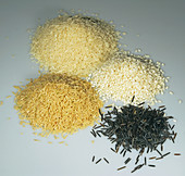 Various Kinds of Rice