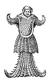 Sea Monk,Legendary Monster,16th Century