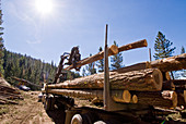 Loading Logs onto a Truck