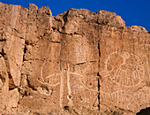 Petroglyphs,Great Basin,California