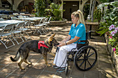 Woman in Wheelchair with Trained Dog