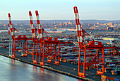 Container Cranes