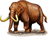Mastodon,Illustration