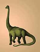 Brachiosaurus,Illustration