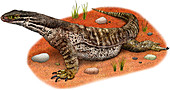 Argus Monitor,Illustration