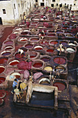 Fez Tannery,Morocco
