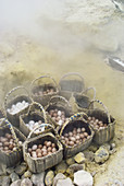 Eggs cooking on Volcanic Fumarole,Japan