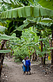 School Children on Banana Farm