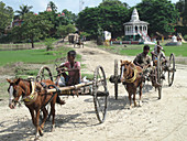 Horse Carts,Bhagirathi River Bank,India