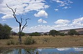 Water Hole,Okonjima Bush Camp,Namibia