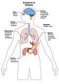 Symptoms of Diabetes,Illustration