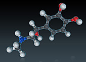 Epinephrine Molecular Model,Illustration