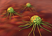 Cancer Cells,Computer Illustration
