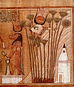 Papyrus Drawing