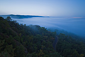 Iowa Fog