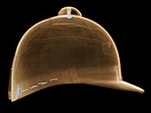 X-ray of Equestrian Helmet