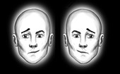 Half Faces Illusion,illustration