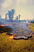 Lava,Kilauea Volcano,Hawaii
