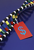 DNA Double Helix with Price Tag