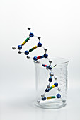 DNA Double Helix in Beaker
