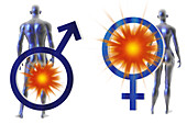 Female Male Pain Symbols,illustration