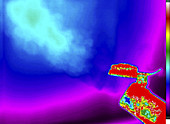 Thermogram of a Boiling Kettle