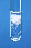 Zinc Hydroxide Precipitate