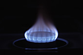 Natural Gas Burner