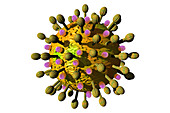 Coronavirus,illustration