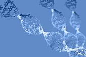 DNA,illustration