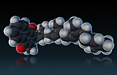 Vitamin K2,Molecular Model,illustration