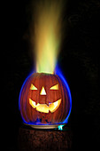 Coloured Flame in Burning Pumpkin