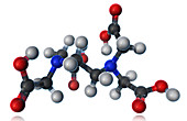 EDTA,Molecular Model,illustration