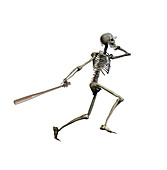 Skeleton Hitting a Home run,illustration