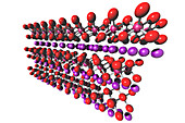 Lithium Cobalt Oxide,illustration