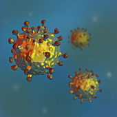 Hepatitis-C Virus,illustration