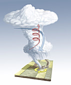Formation of a Tornado,illustration