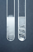 Reaction rate