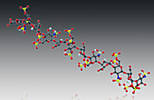 Heparin,Molecular Model,illustration