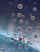 Viral Exocytosis,illustration