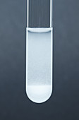 Strontium carbonate precipitate