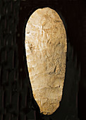 Cherokee Indian Stone Hoe Blade